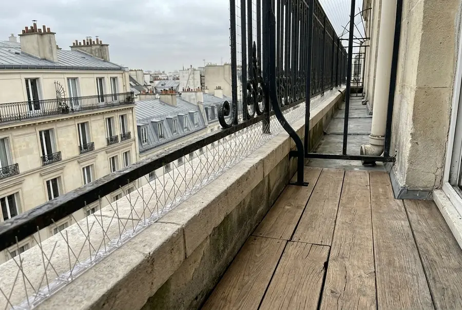Dépigeonnage après intervention RatZéro à Bagnolet